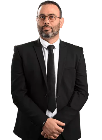 רימון ללא רקע