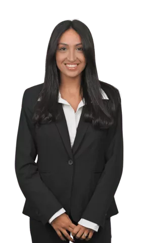 עדי כהן חדש