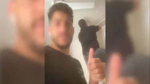 כתבה